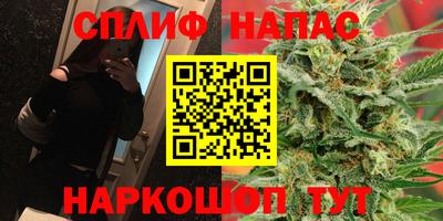 хмурый Донской
