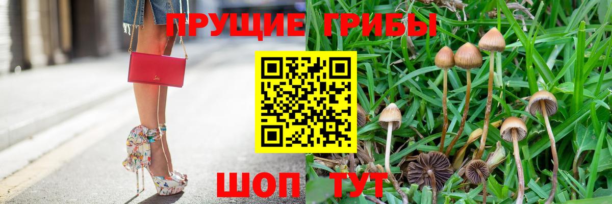 Псилоцибиновые грибы мицелий Ликино-Дулёво